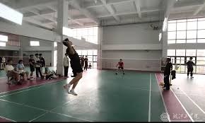 NBL最新季中锦标赛排名：破坏者和野猫前2，跳伞蚁升至第3